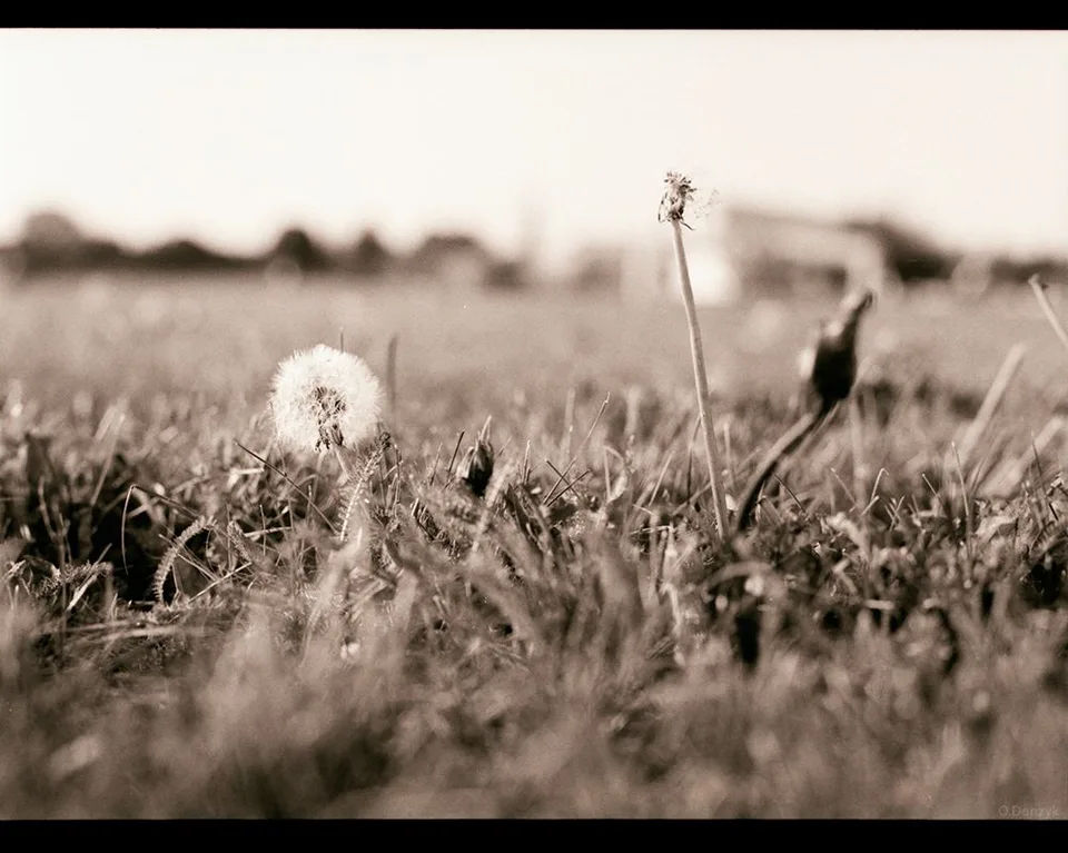 Natur & Landschaft – Fotografie von Oliver Donzyk, Fotokreuz Berlin