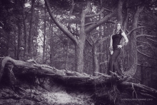 Waldshooting